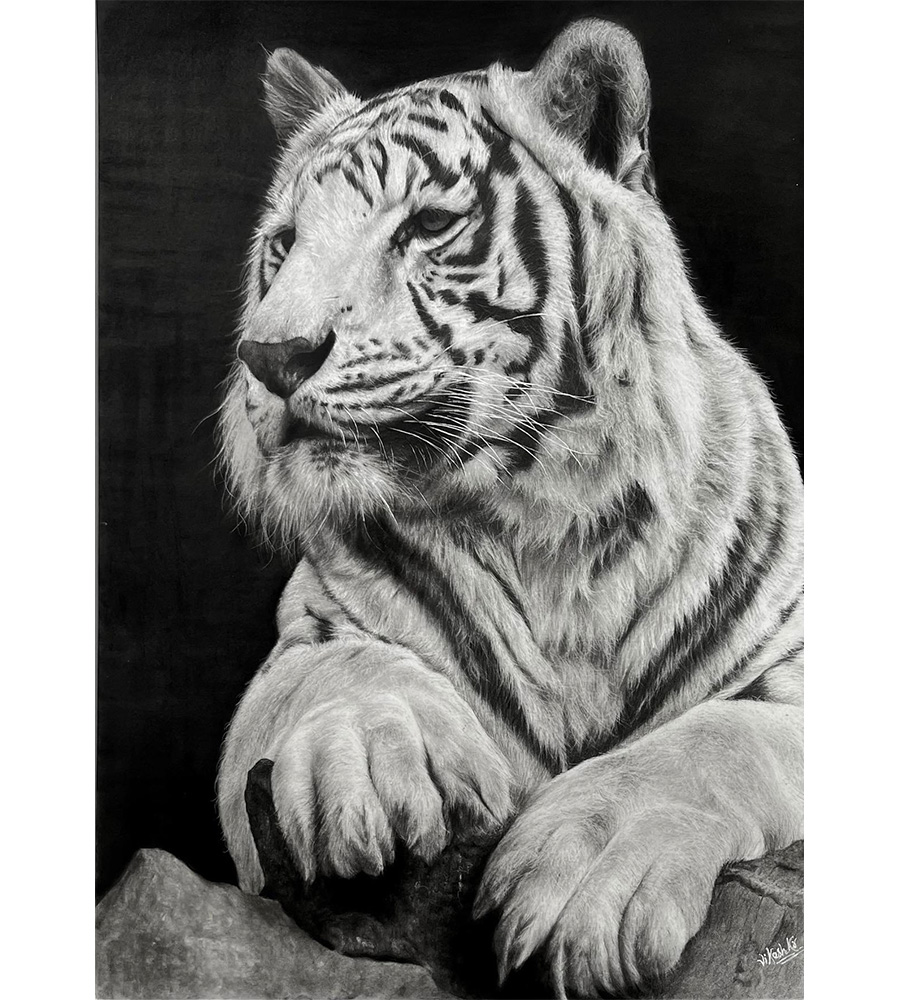 White Tiger